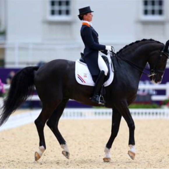 đEQUESTRIAN RELATED Collection - Picture 1 of 1